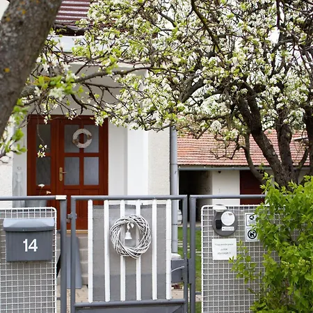 Ubytovani U Vojtesky Pasohlávky Exterior photo