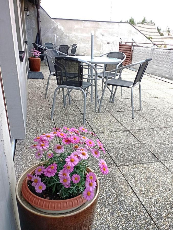 Ubytovani U Vojtesky Homestay