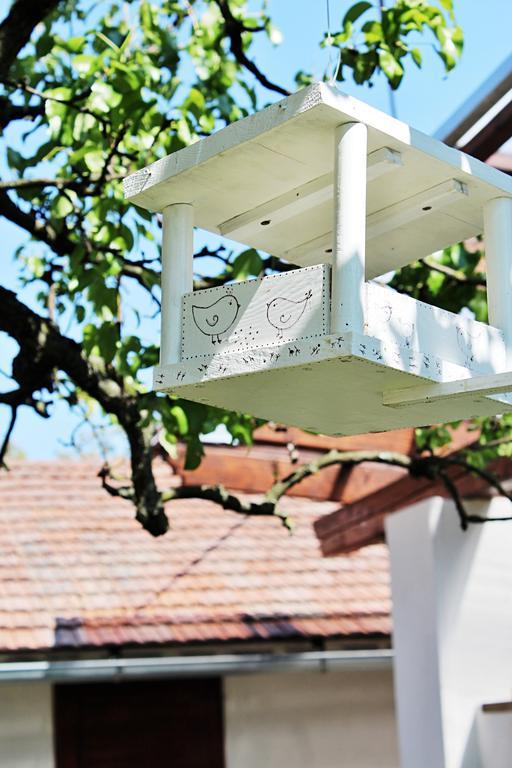 Homestay Ubytovani U Vojtesky *